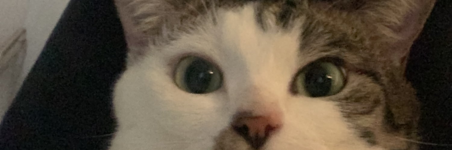 bryndennn's profile banner image