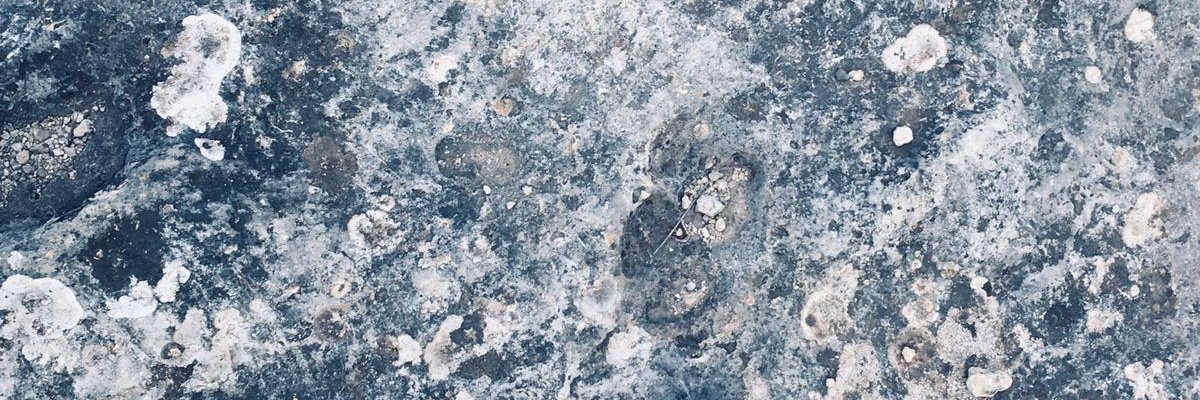 Maite Lopez-Sanchez banner