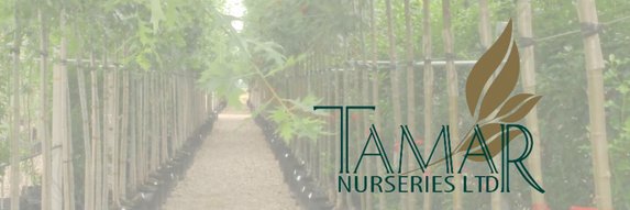 TamarNurseries's profile banner image
