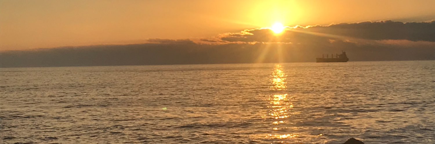 Aldous Himself banner