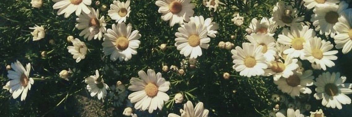 CandyDii's profile banner image