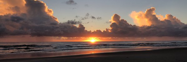 bitwolfi Profile Banner