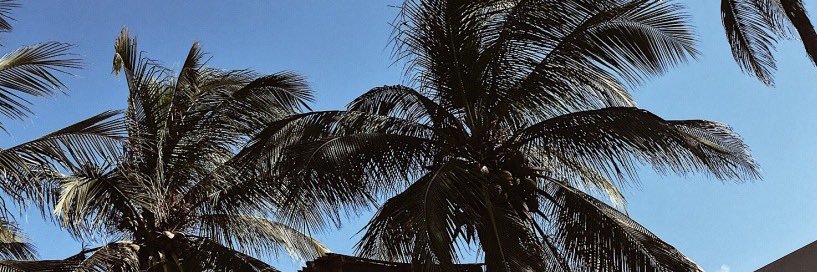 MarianaChrr's profile banner image