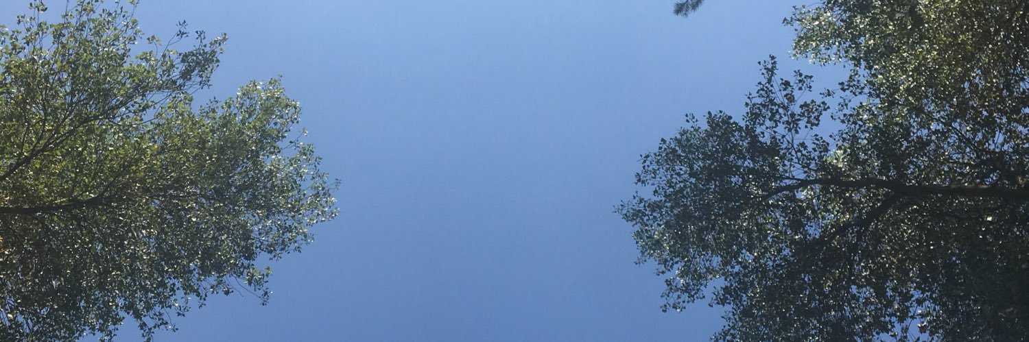 Celia Gómez banner