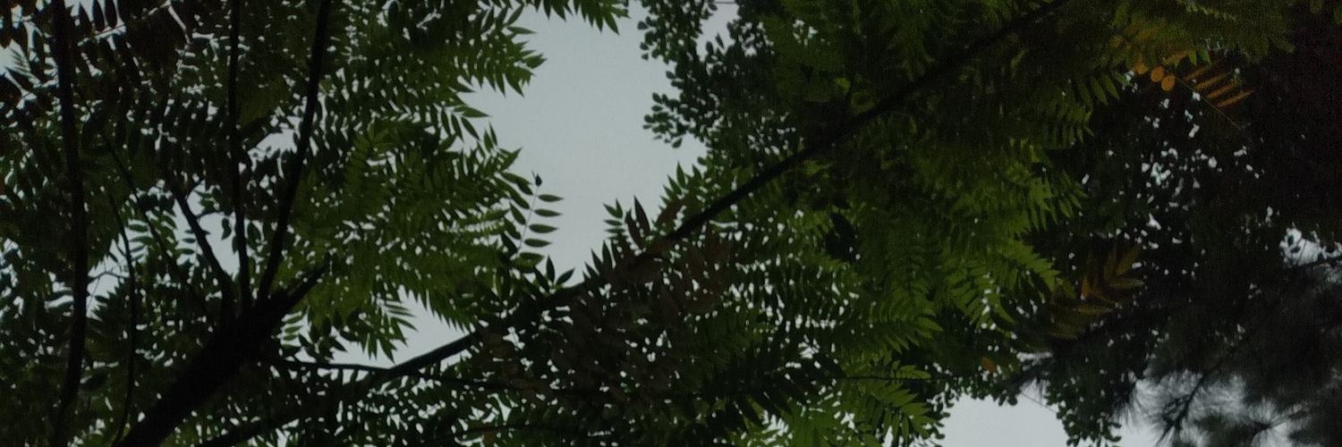 haiyass14's profile banner image