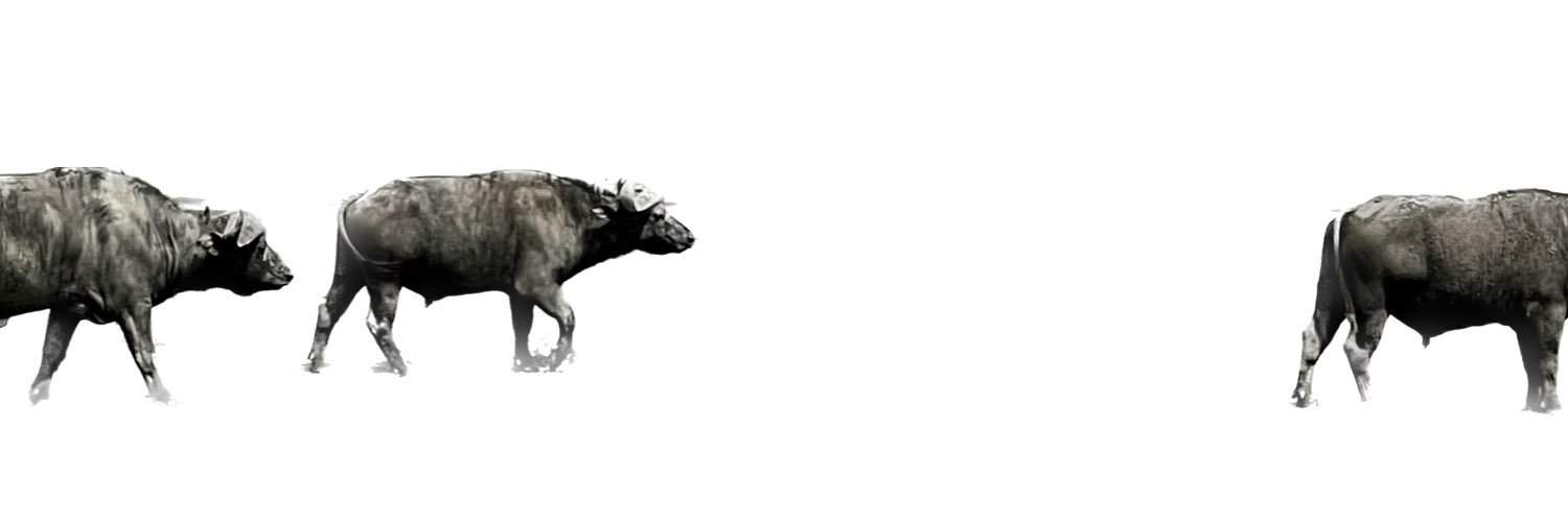 clbr banner