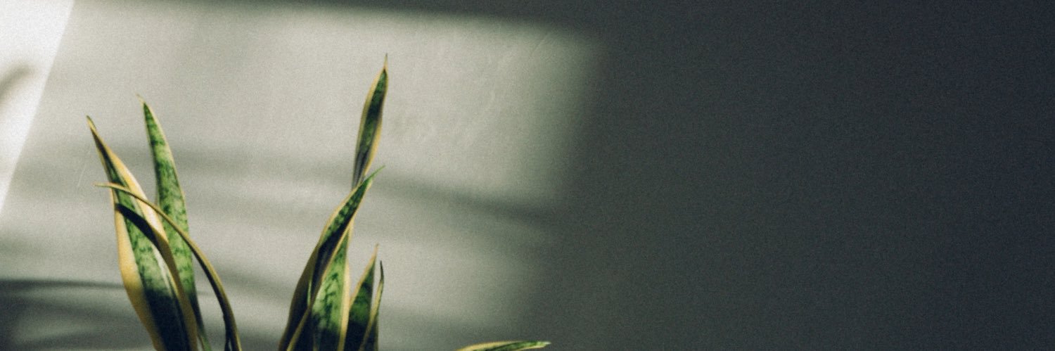 TheMonicaWeldon's profile banner image