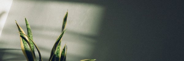 TheMonicaWeldon Profile Banner