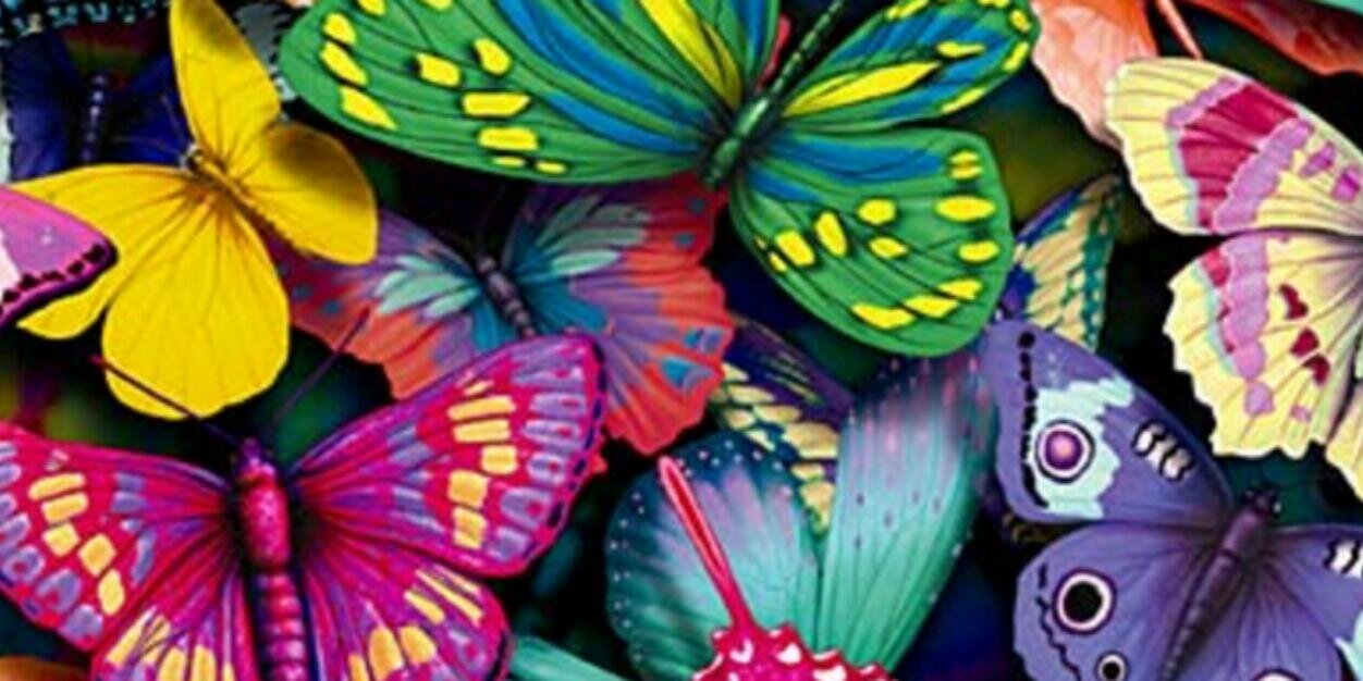 Sandra_dad's profile banner image