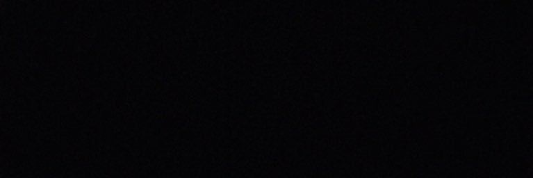 Raven banner
