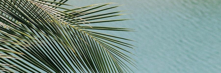 heatherboting's profile banner image