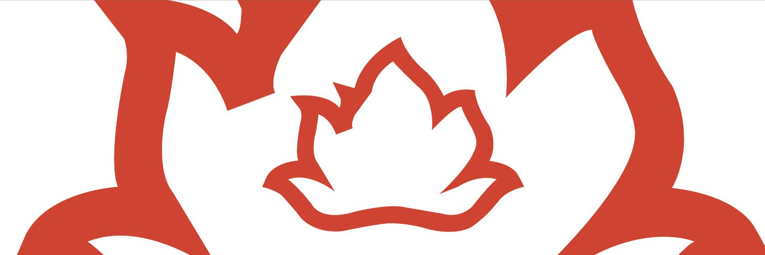 CALCharleroi banner
