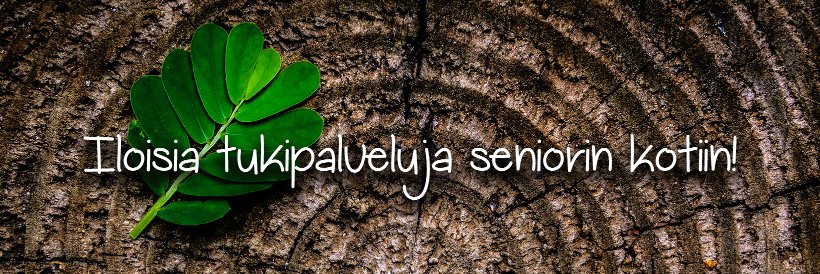IidaKujanpaa's profile banner image