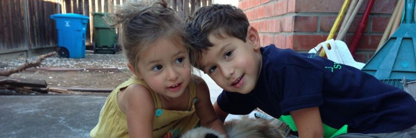 georgeblazer's profile banner image