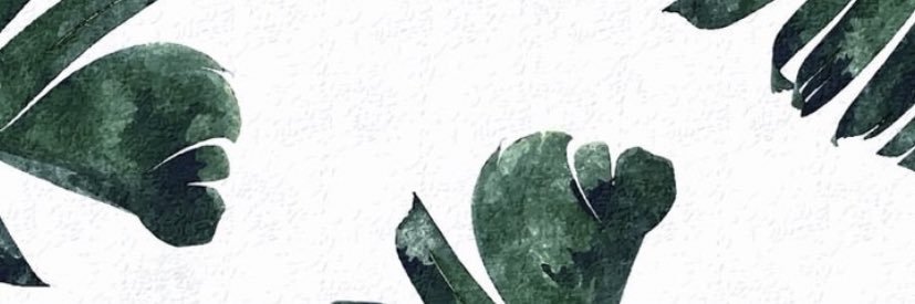 dlphnzln's profile banner image