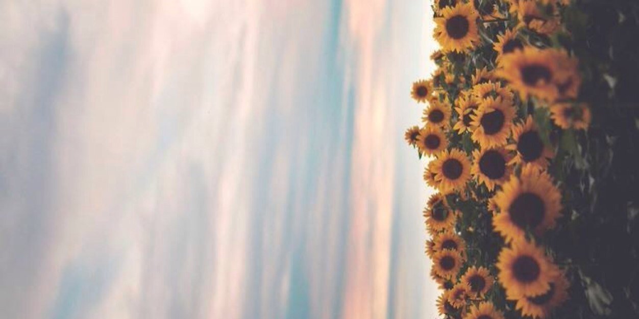 hechalboobies's profile banner image