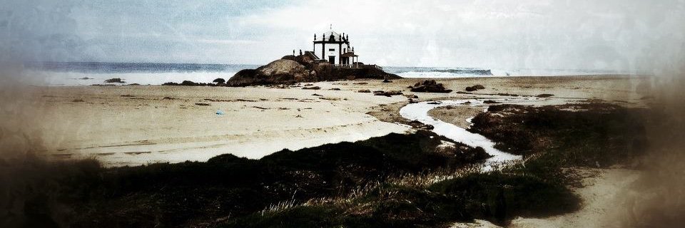 Ricardo Silva banner