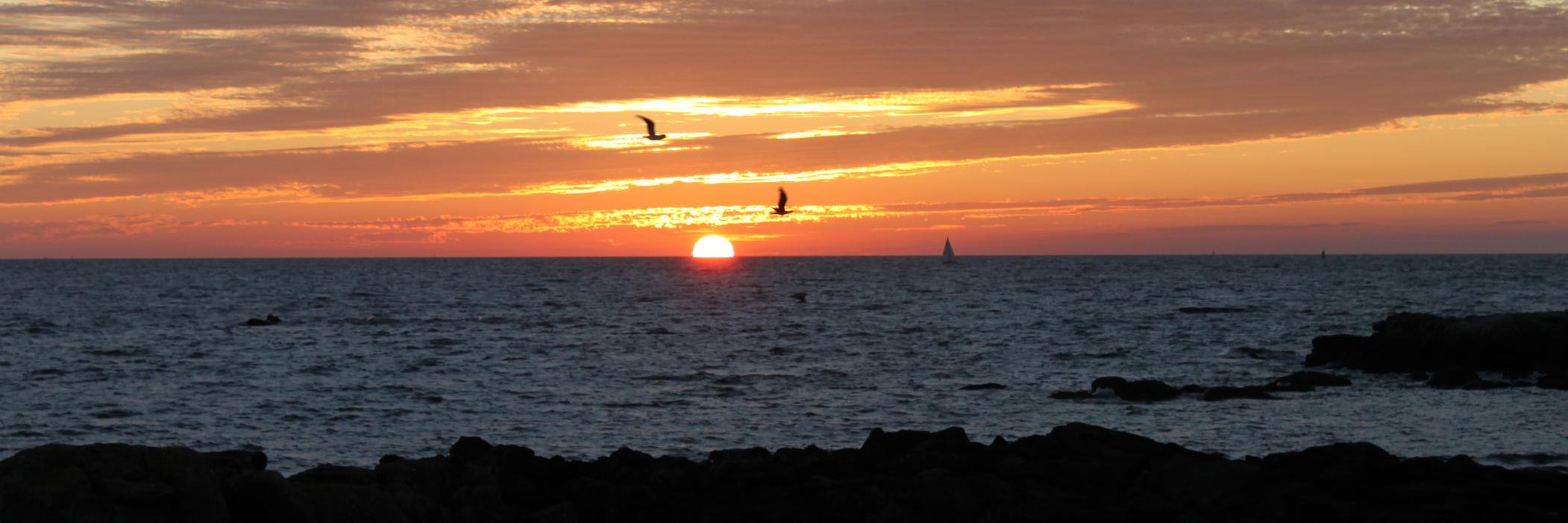 Daniel MURAIL banner