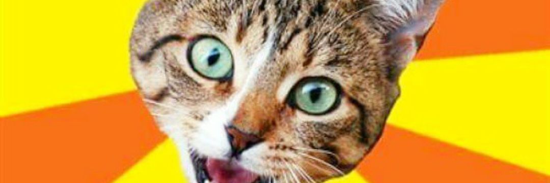 mszyczew's profile banner image