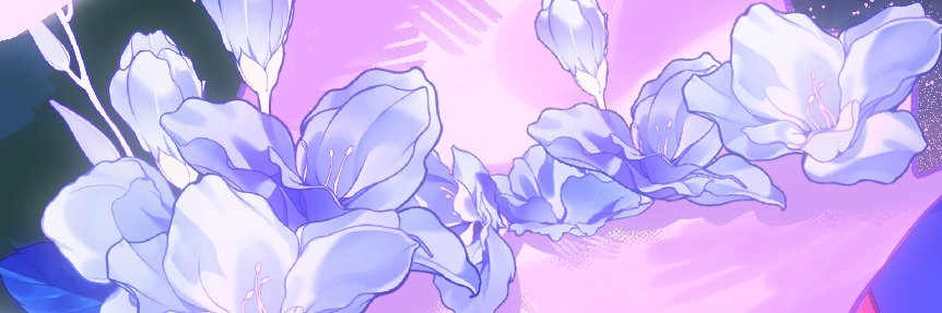 kisekinohanabi's profile banner image