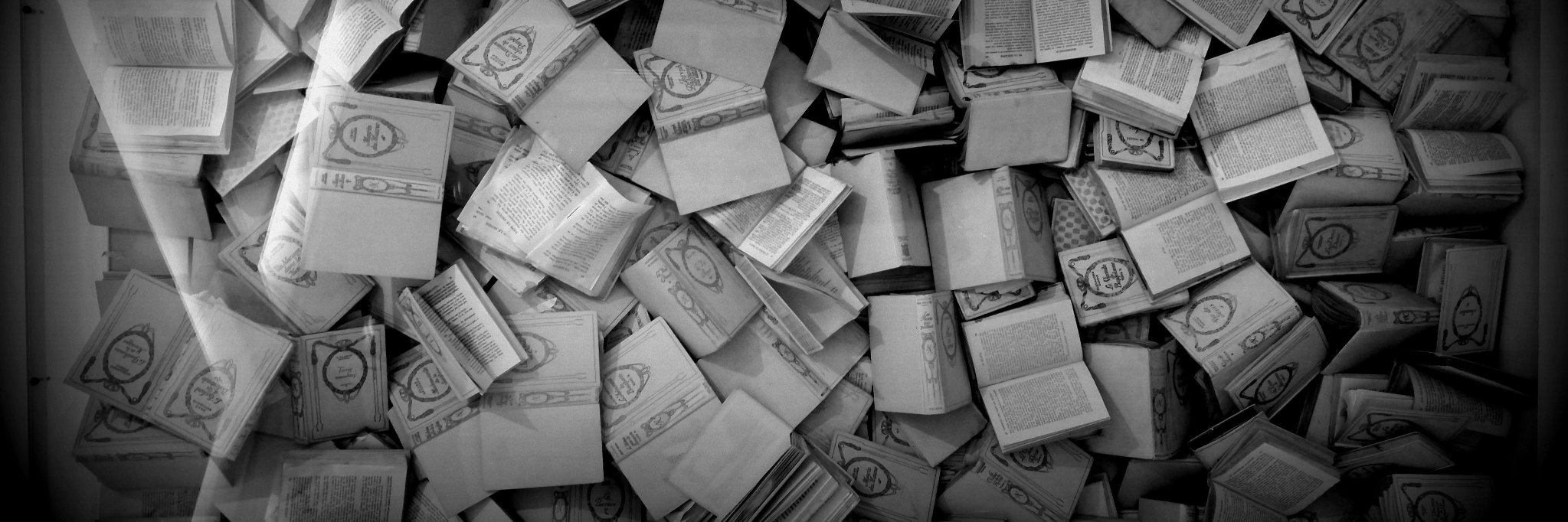 Emilie_Bour's profile banner image