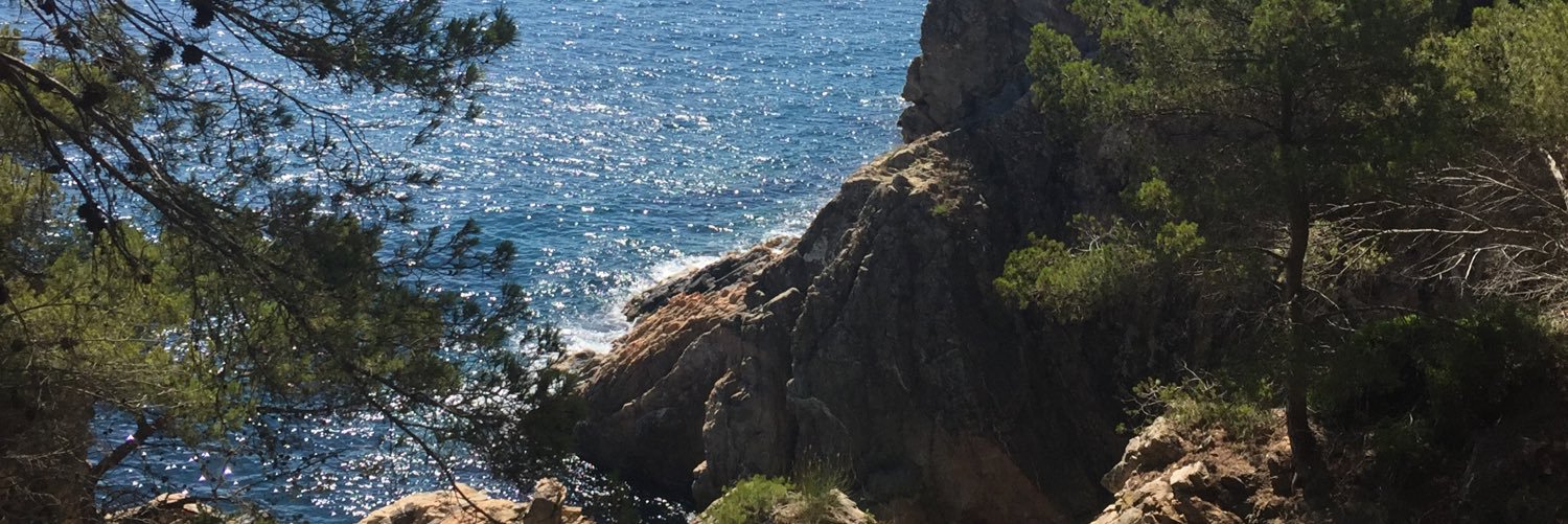 MichelMipe's profile banner image