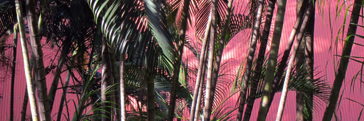micah_zeph's profile banner image