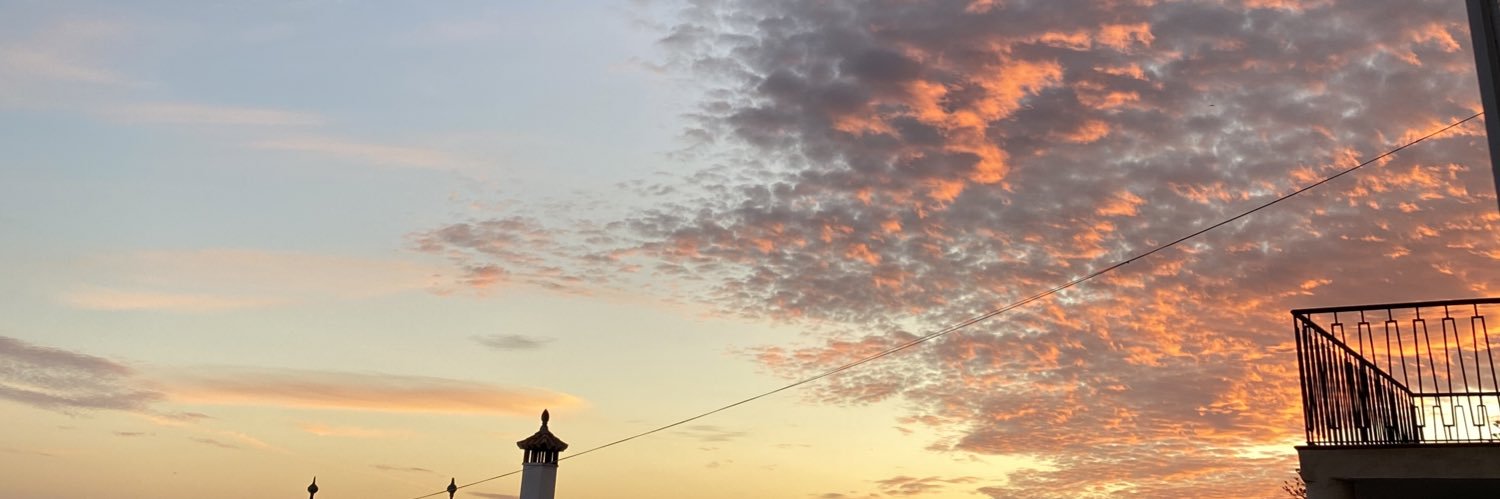tess_L12's profile banner image
