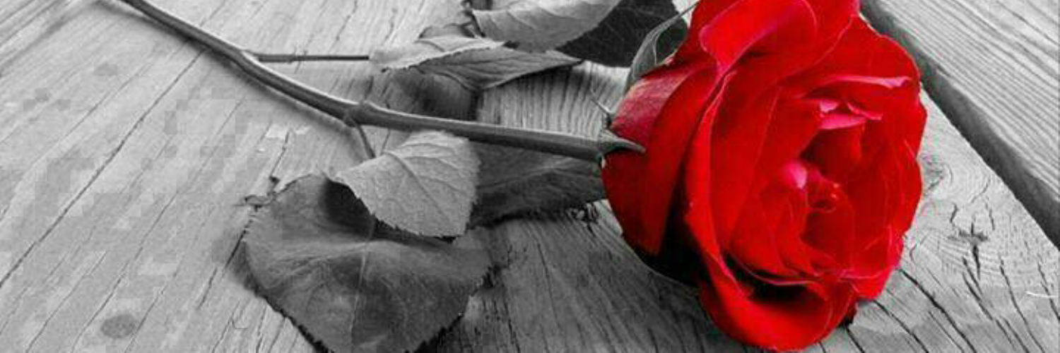KissoBlaze's profile banner image