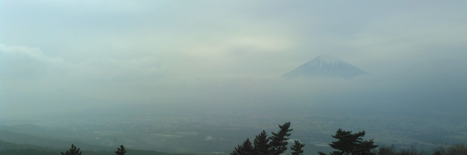 inemurigo's profile banner image
