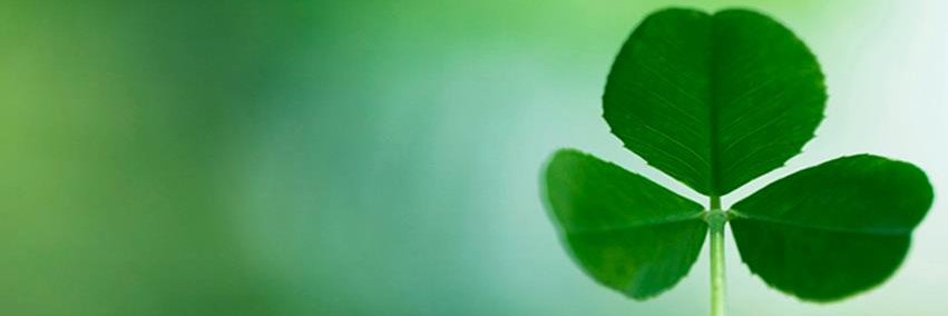 OutplacementUSA's profile banner image