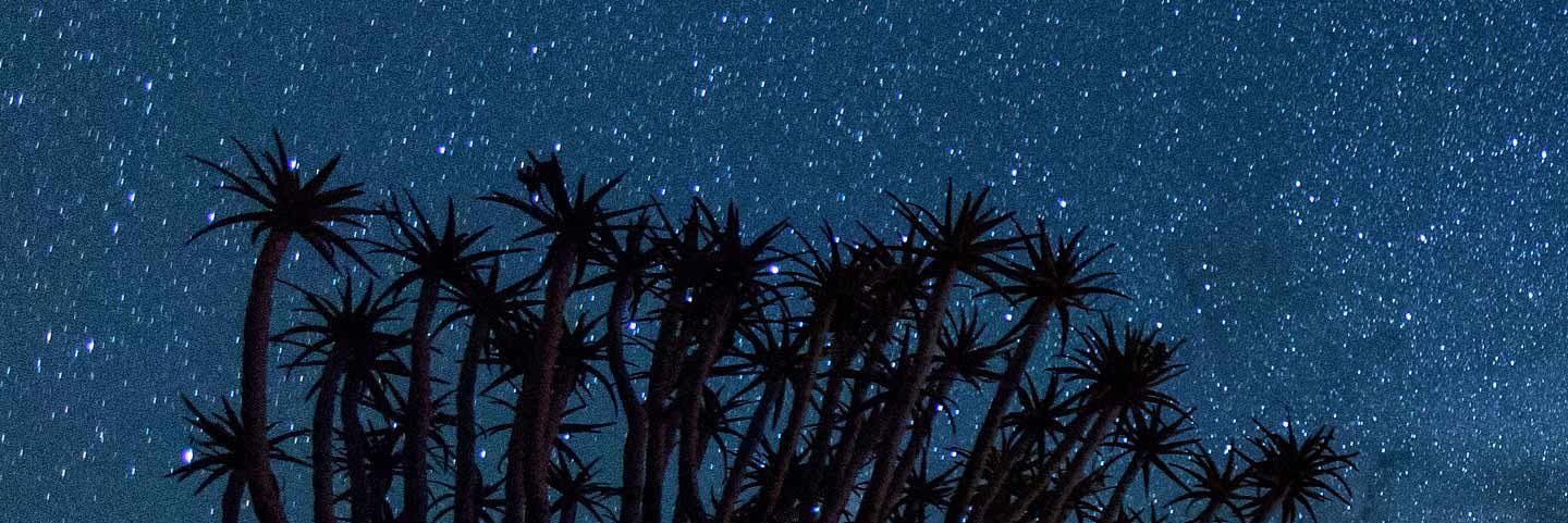 neverforyouu's profile banner image