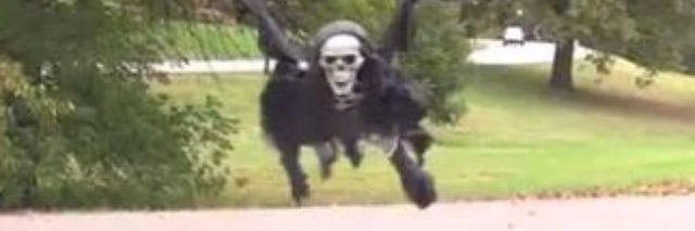 турбобой суперхороший banner