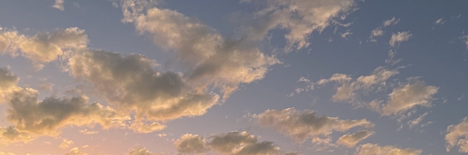 clarafortino's profile banner image
