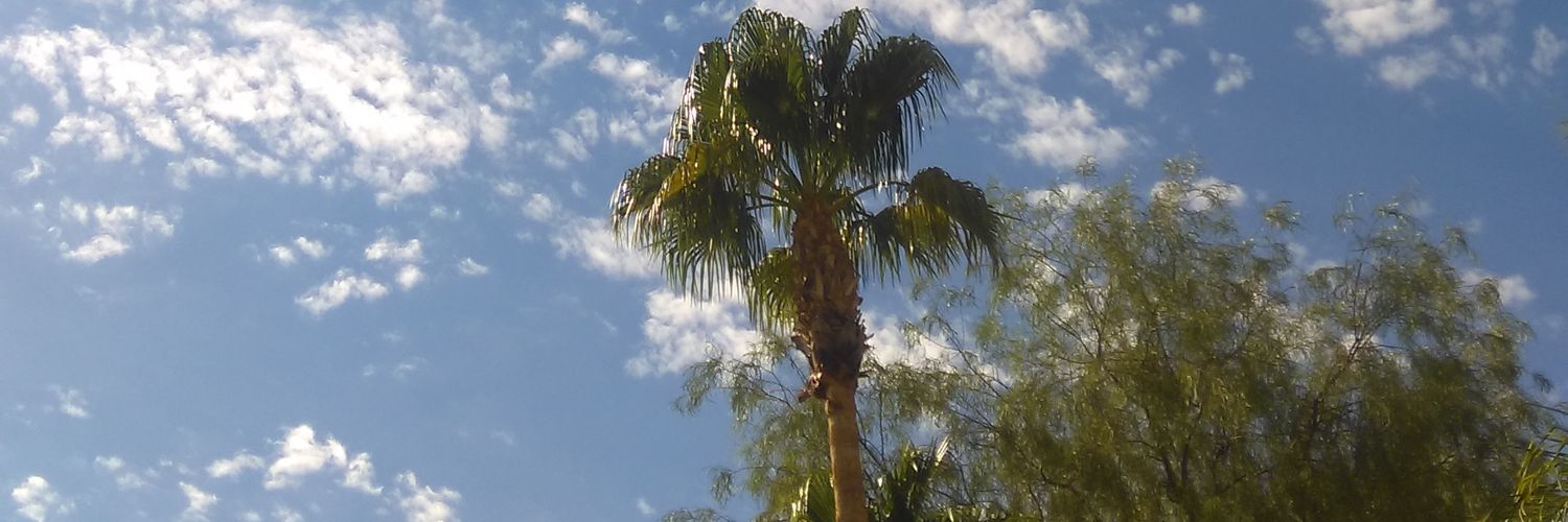 JaredCarter93's profile banner image