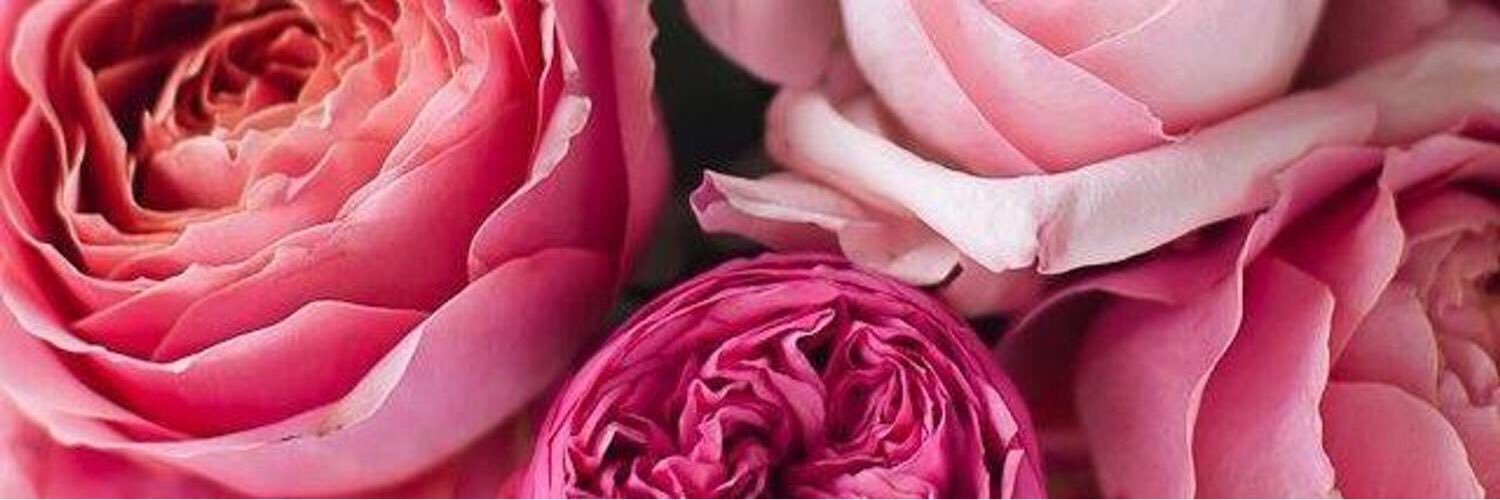 khookh55's profile banner image