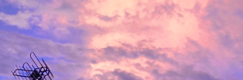xNINDYLADYROSEx's profile banner image
