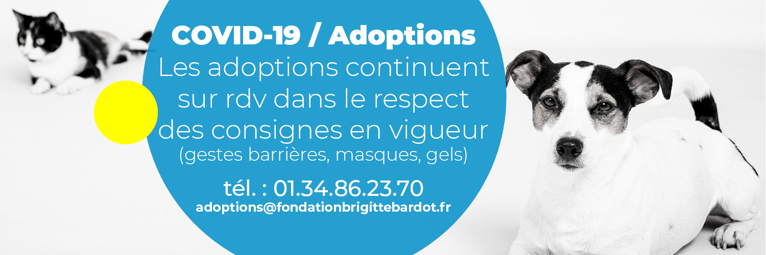 FBB / La vie de nos 3 refuges et des animaux 🏡 banner