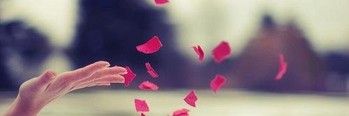 daysepriscilla's profile banner image