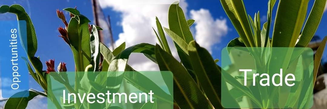 GuulGroup's profile banner image