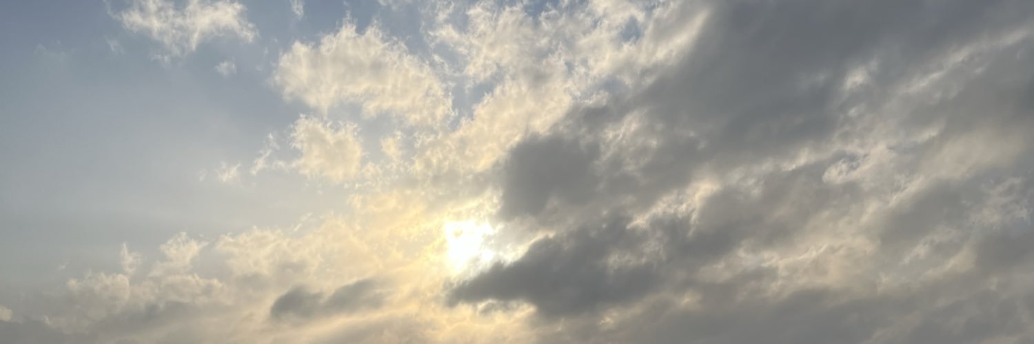 birmorcicek's profile banner image