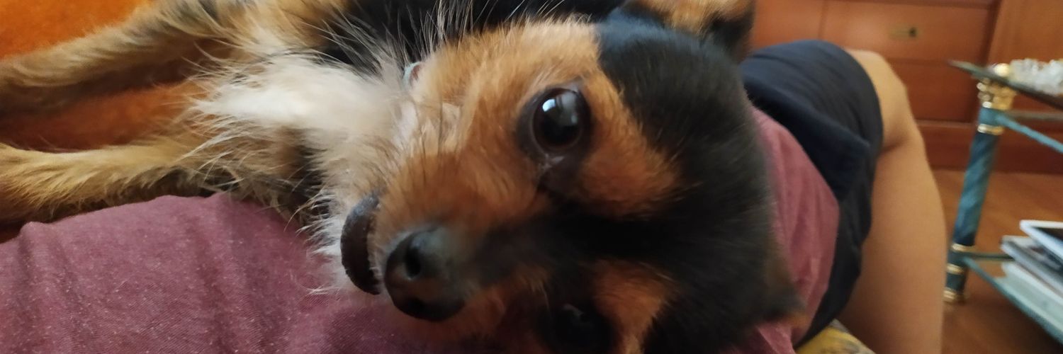 JaVidalGlez2402's profile banner image