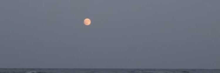 leyre banner