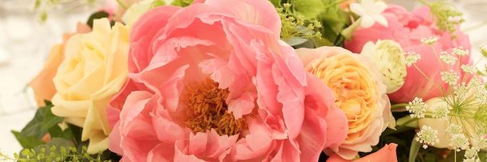 livingcolflower's profile banner image