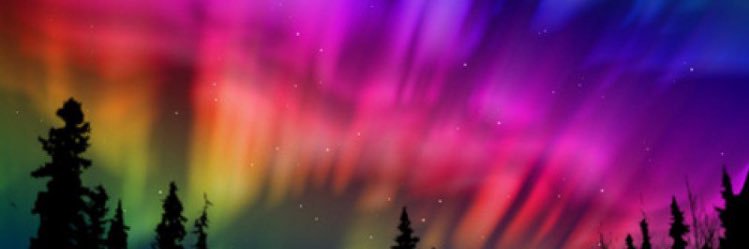 maychis ⛵️ banner