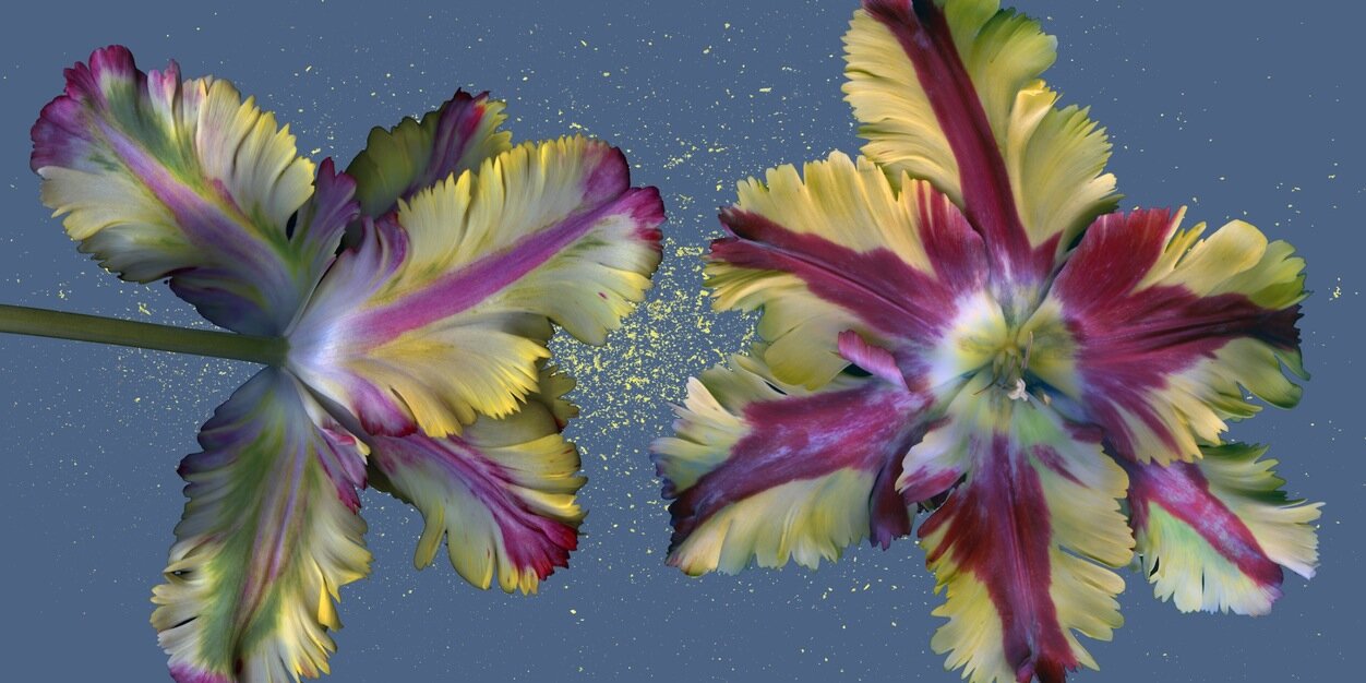 rectoversomagazine banner