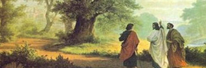 a John Oliver banner