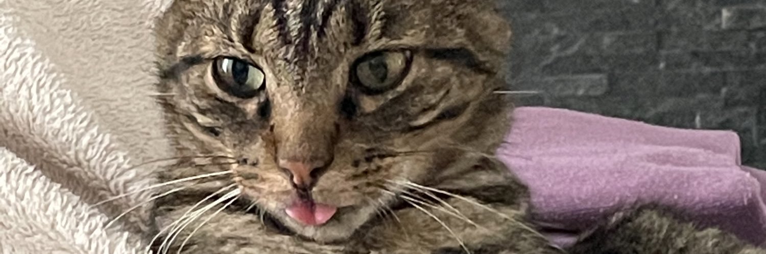 deprxy's profile banner image