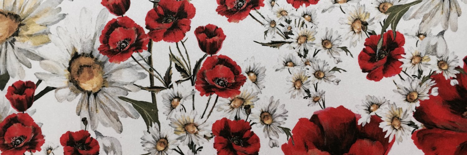 どっちゃん banner