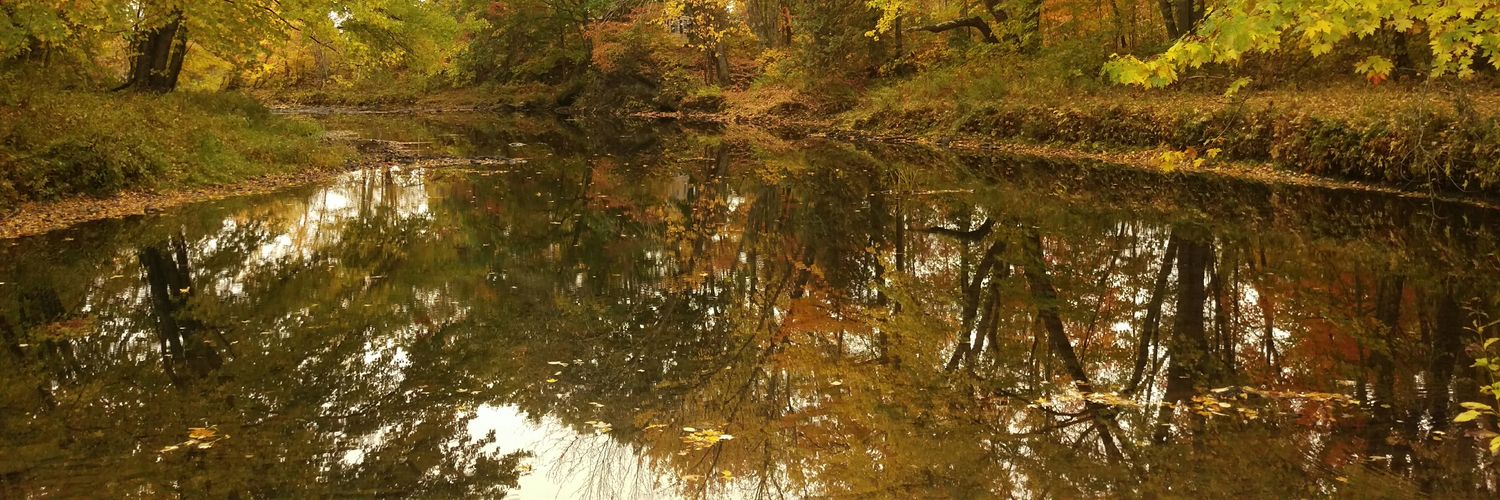 guerin247's profile banner image